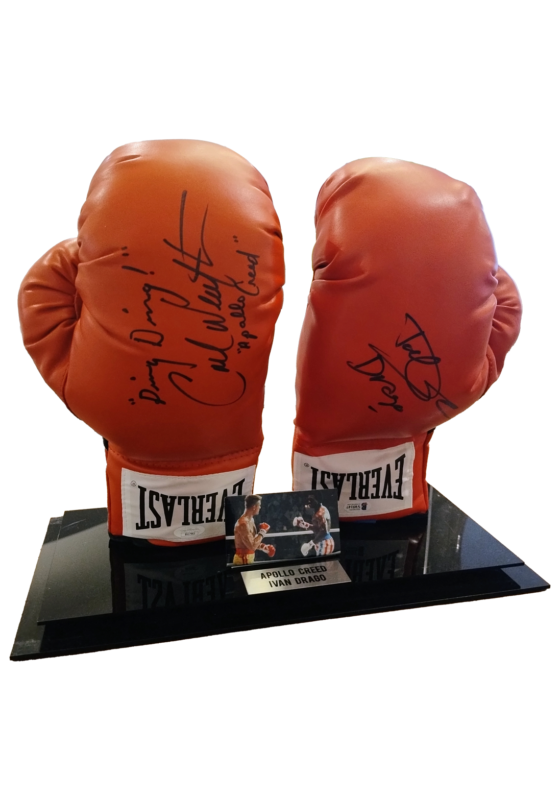 Everlast-Rocky-Creed-Draco